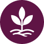 100% Biodegradable Icon