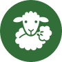 100% Regenerative Natural Fibres Icon