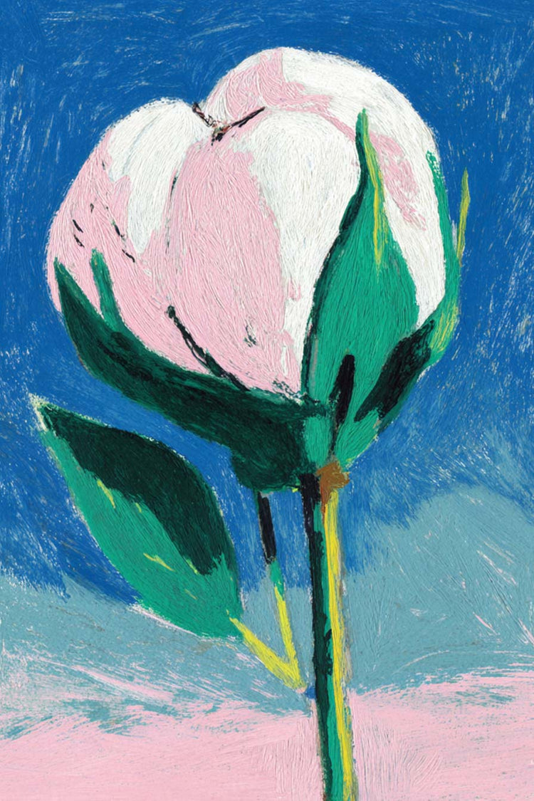 Know Your Fibre Image