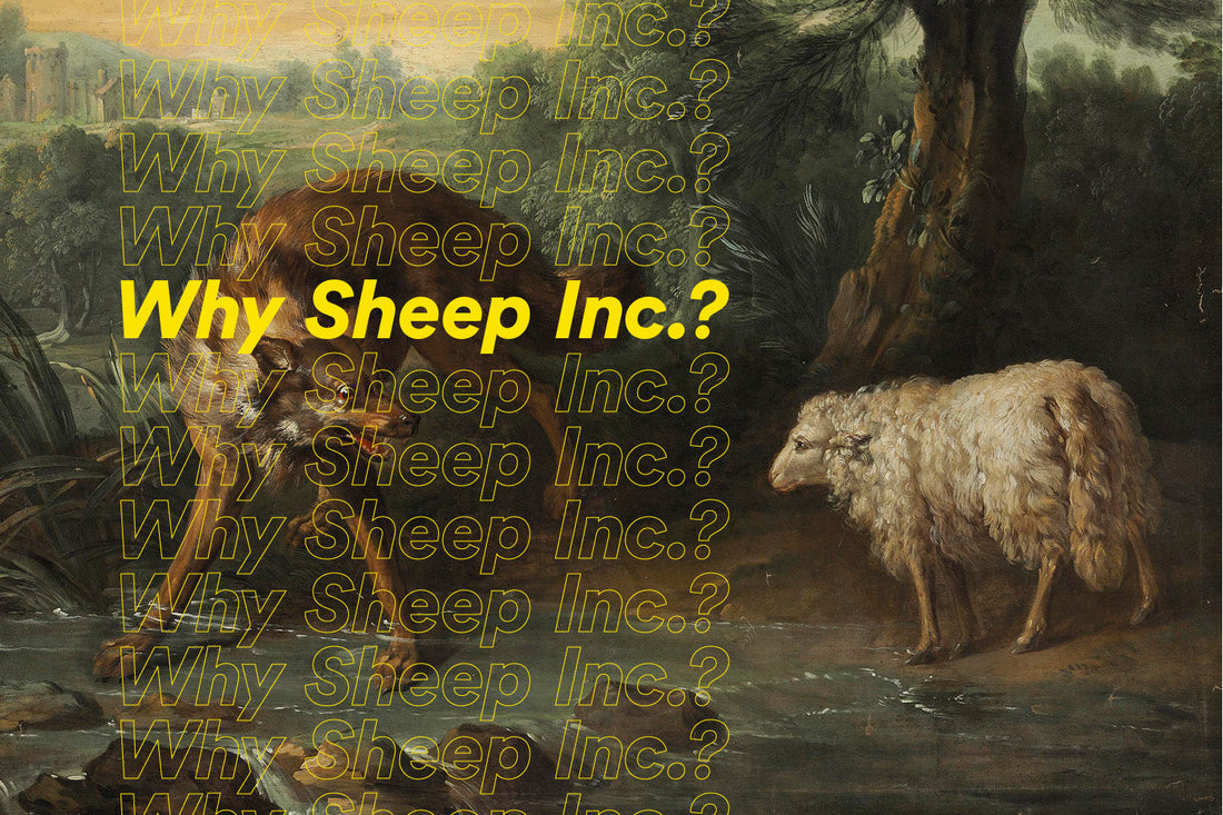 Why Sheep Inc.?