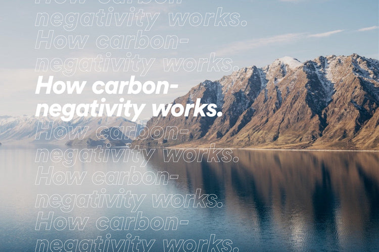 How carbon-negativity works. Image