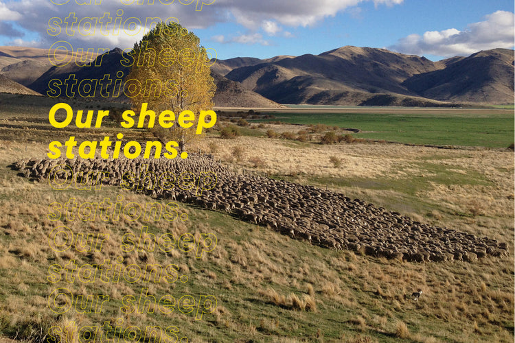 Our sheep stations. Image
