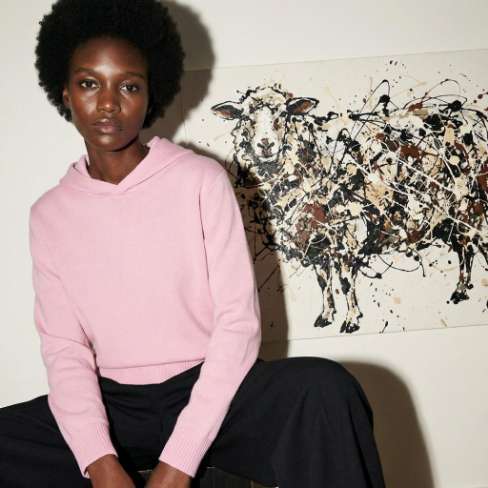 Hoodies → Cover Image