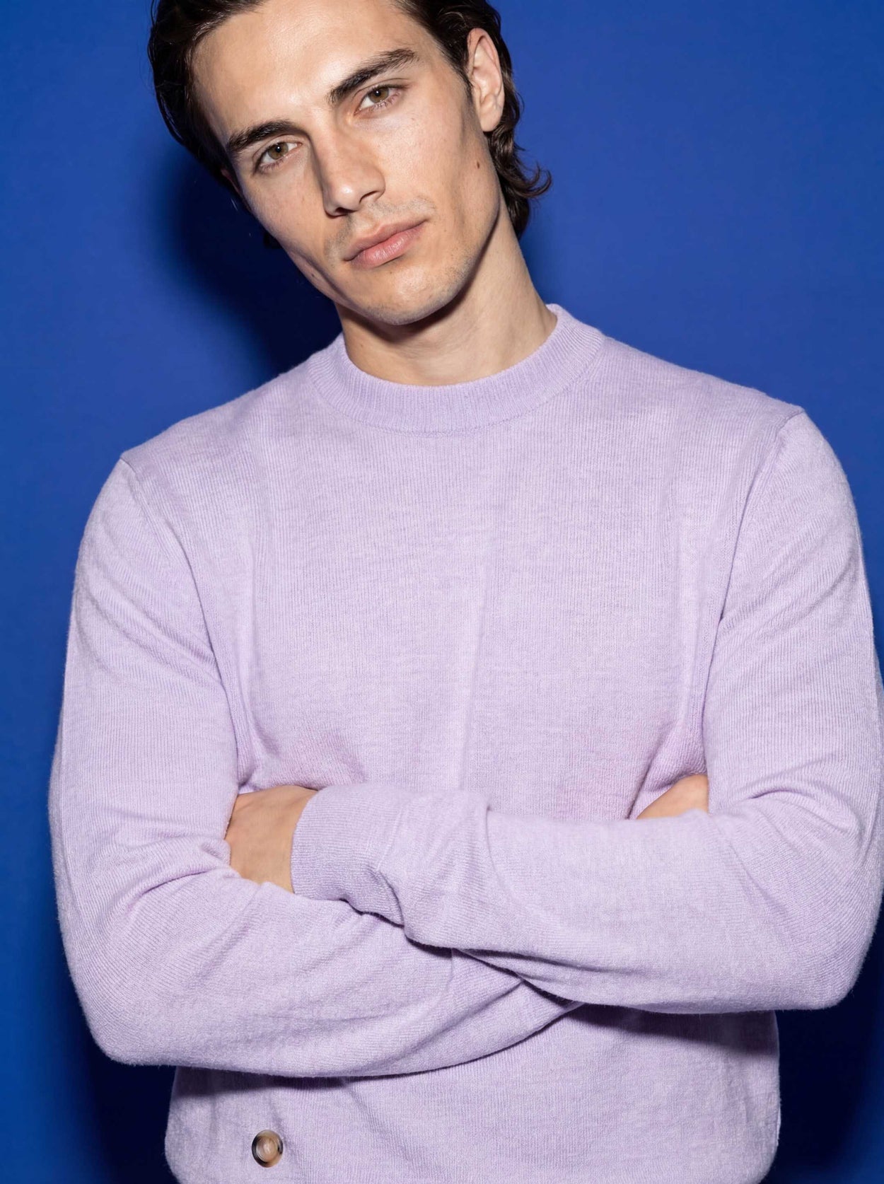 The Fine Knit Crewneck Lupin Lilac Male Image