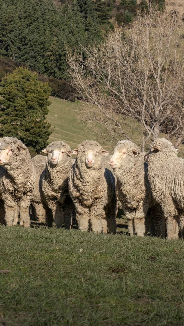 [03] Regenerative pioneers