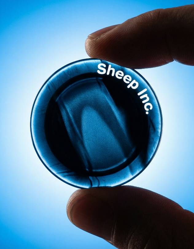 Transparency & Technology