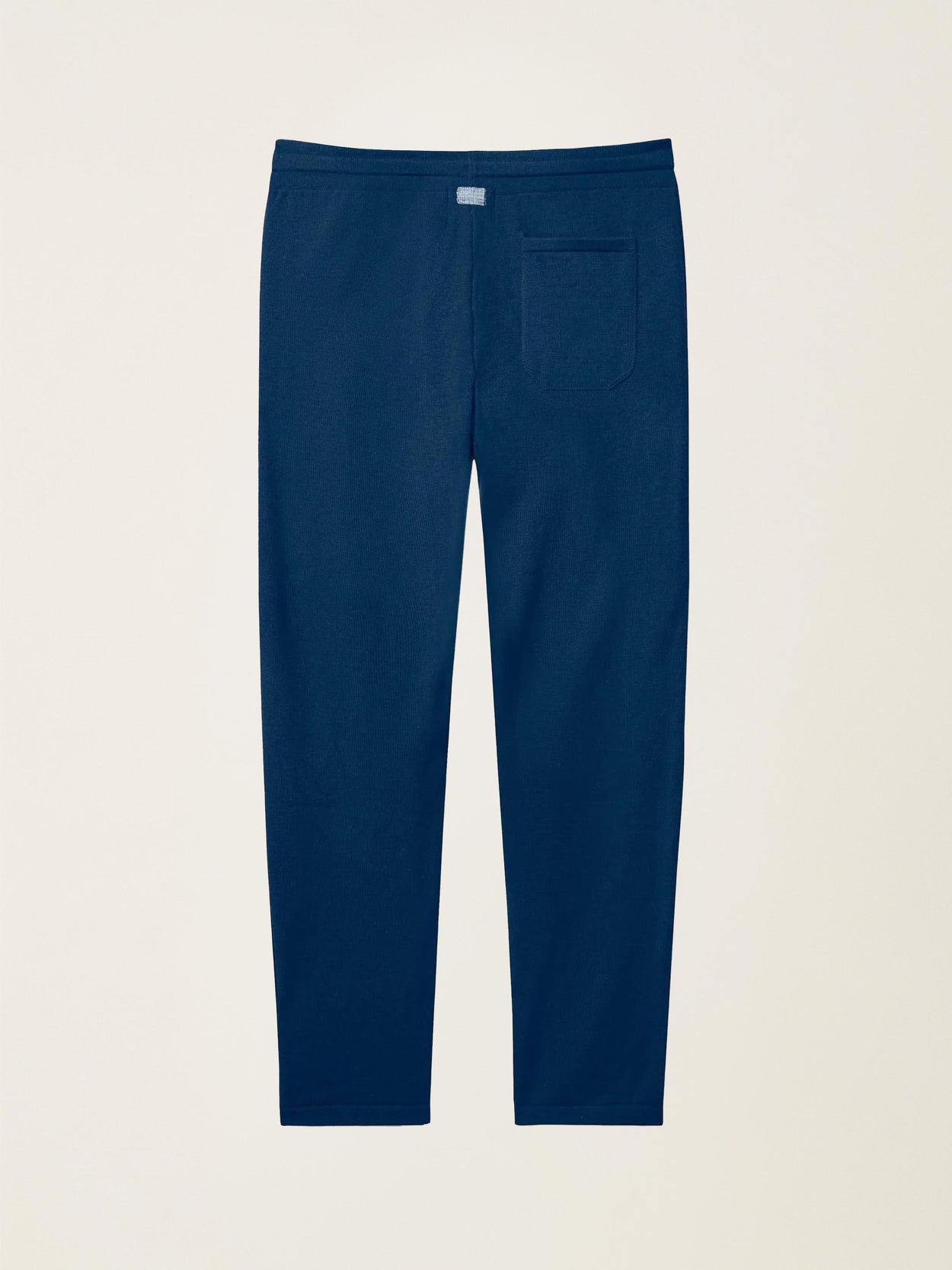 The Flow Jogger Tasman Blue Female Image
