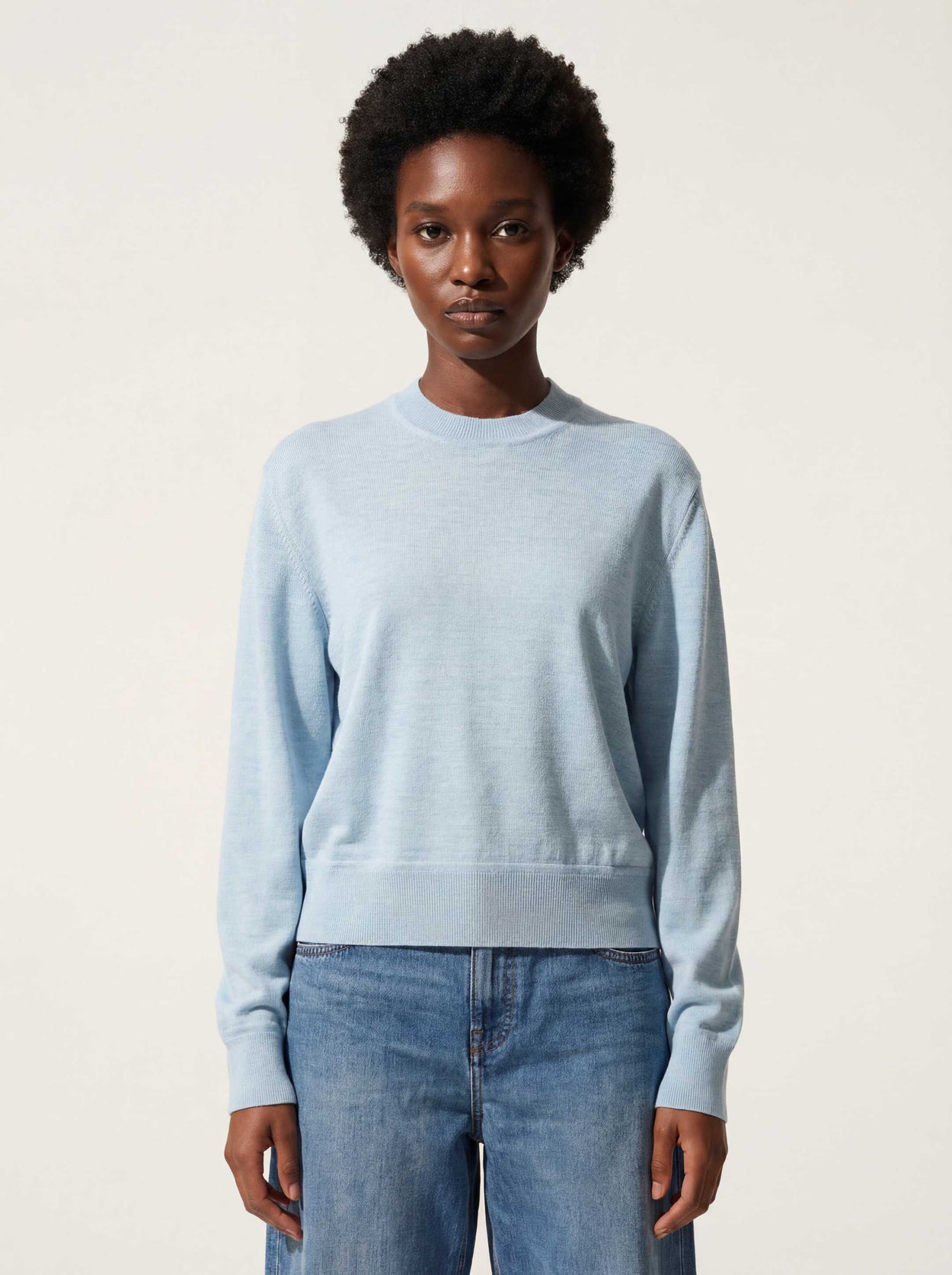 The Women's Fine Knit Crewneck Cloud Blue Female Image