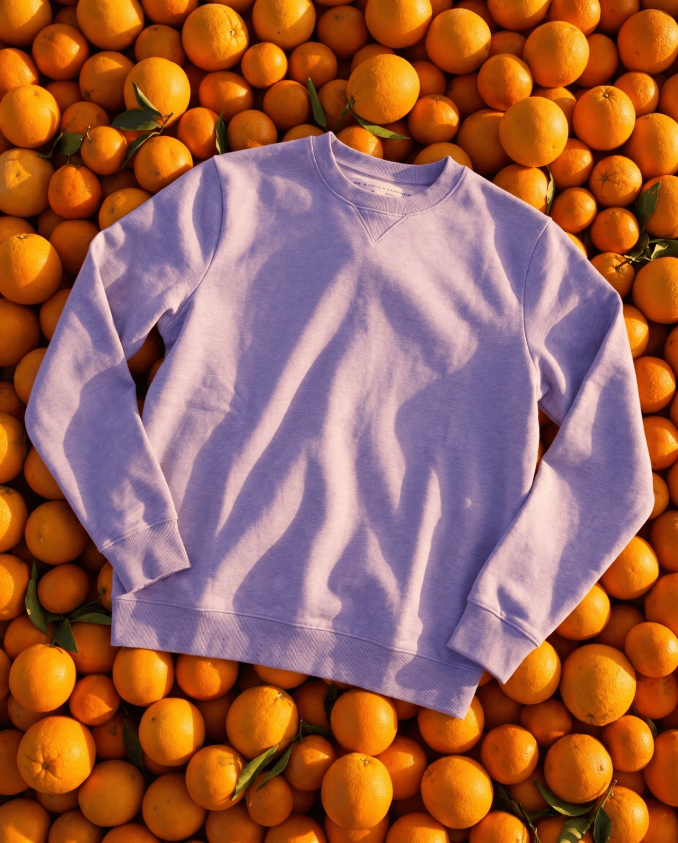 Sweaters & Sweatshirts